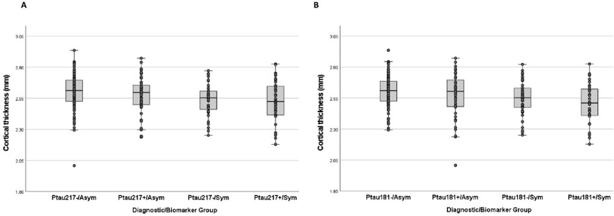 Differences across biomarker/clinical groups in cortical thickness in Alzheimer's signature regions for groups defined by Ptau 217 cutpoint