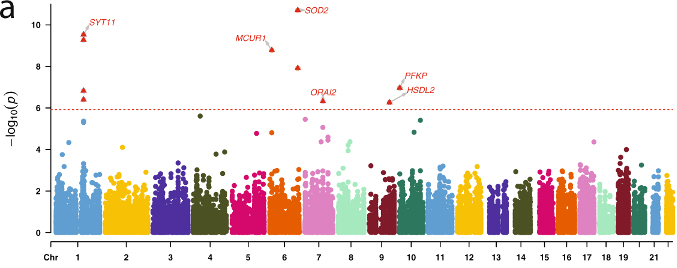  Associations of the top RNA editing events with AD risk and pathologies