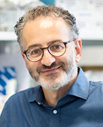 Wassim Elyaman, PhD