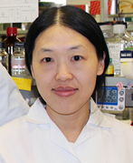 Jin Liu, PhD