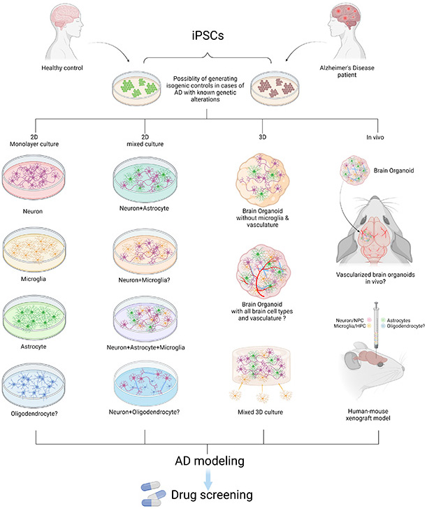 Modeling AD with patient iPSCs