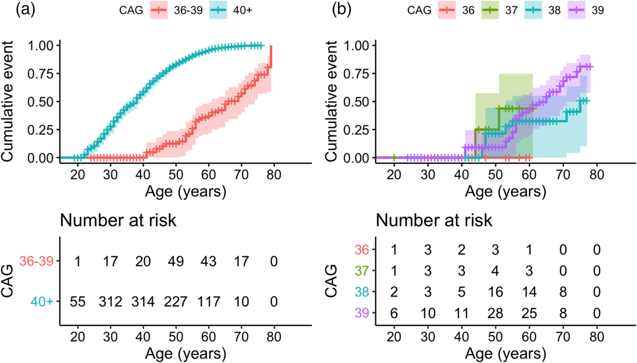 Cumulative penetrance over age