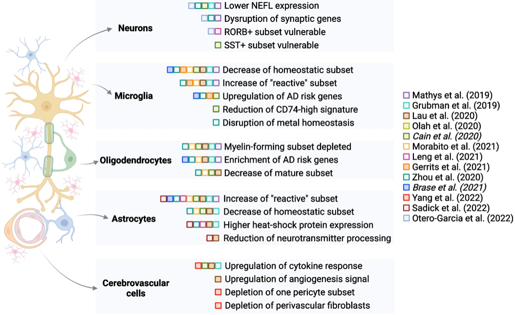 Schematic summary of selected findings