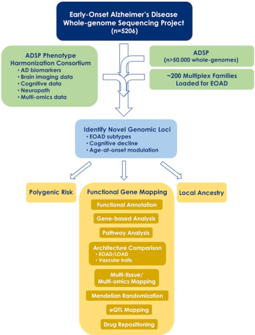 Figure 1. Project flow and primary aims of the Early-Onset Alzheimer’s Disease Whole-genome Sequencing Project.